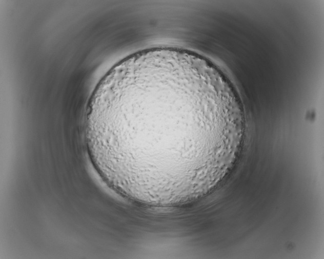 X0000112521295200909141214