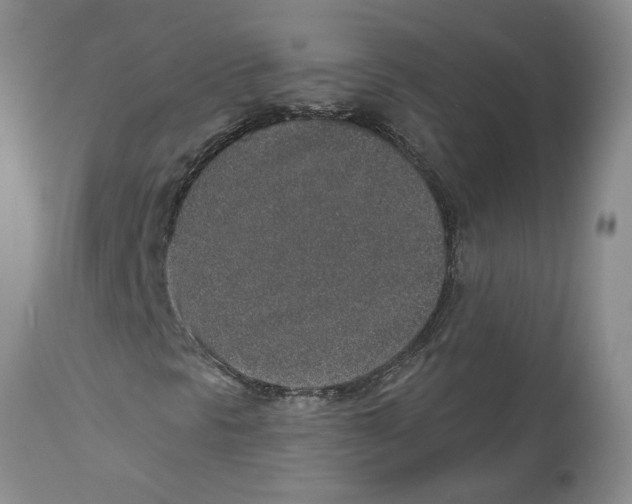 X0000112521297200909141213