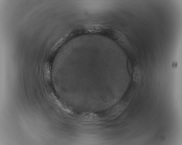X0000112521298200909141213