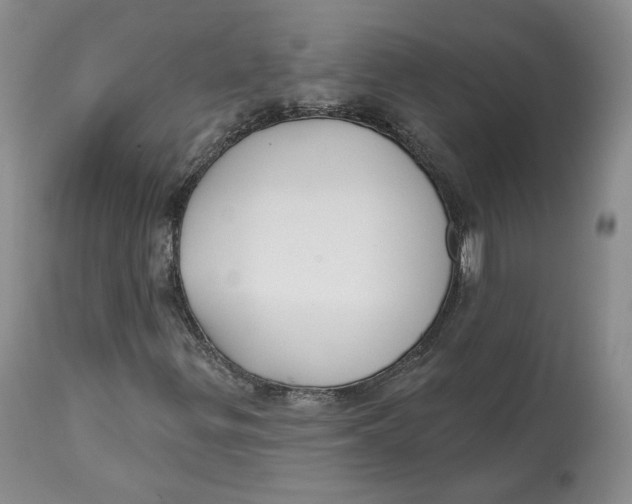 X0000112521299200909141213