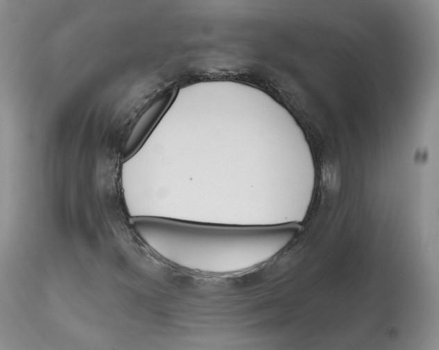 X0000112521300200909141213
