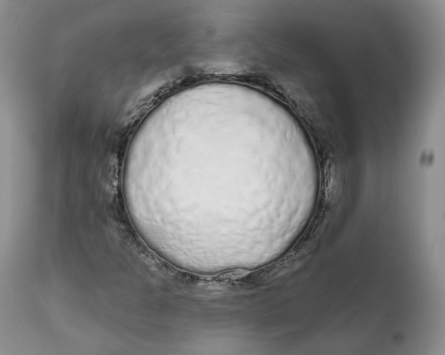 X0000112521301200909141213