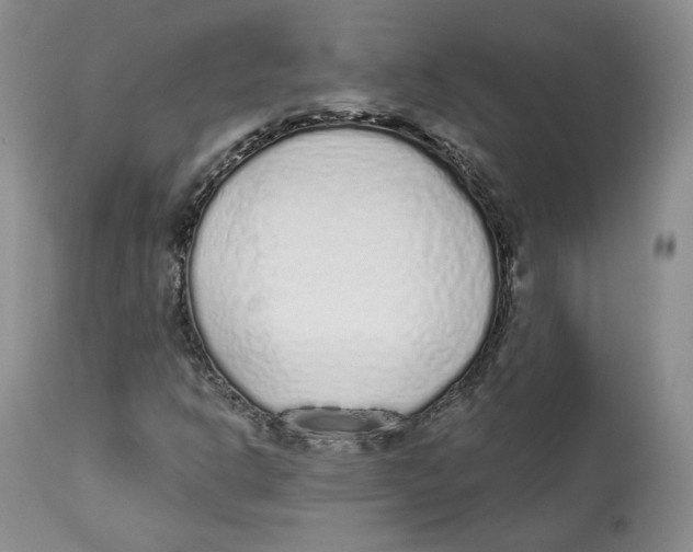 X0000112521302200909141213