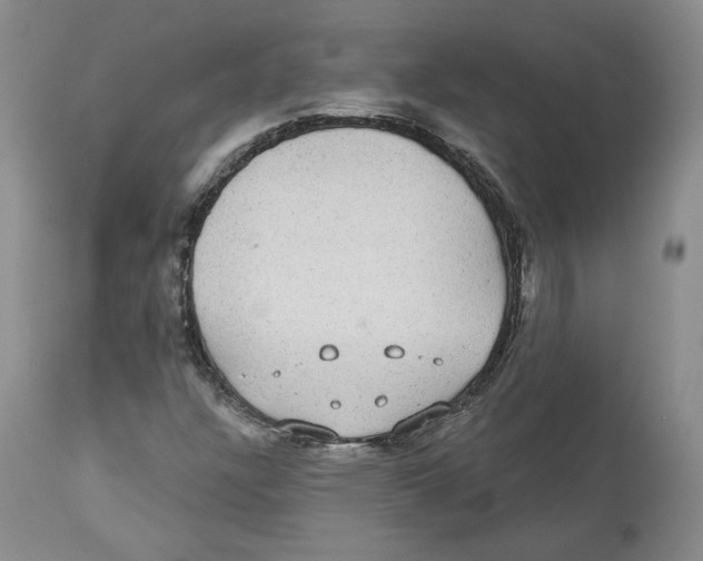 X0000112521304200909141213