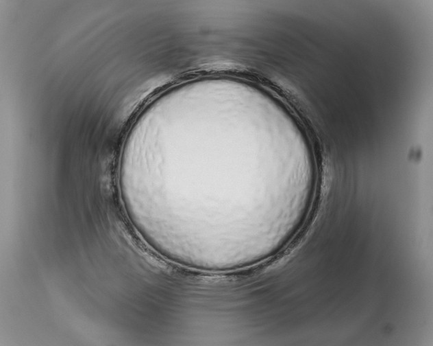 X0000112521305200909141213