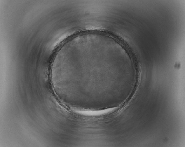 X0000112521306200909141213