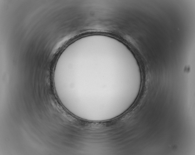 X0000112521307200909141213