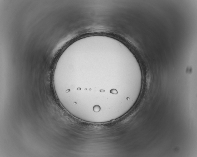 X0000112521309200909141213