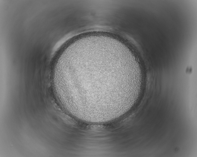 X0000112521310200909141213