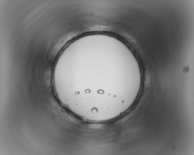 X0000112521313200909141213