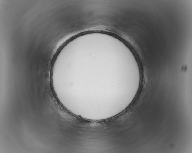 X0000112521316200909141213