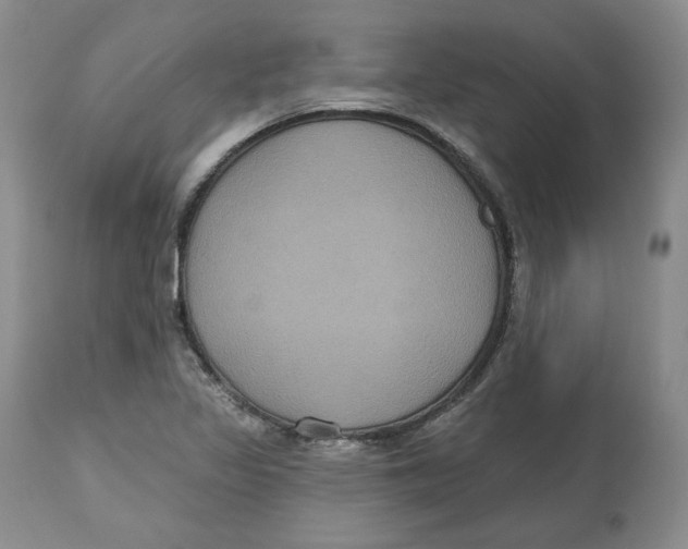 X0000112521317200909141213