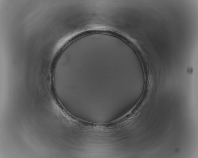 X0000112521319200909141213