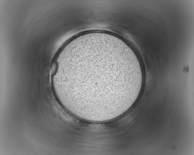 X0000112521320200909141213
