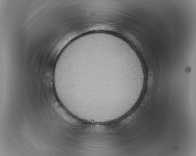 X0000112521321200909141213