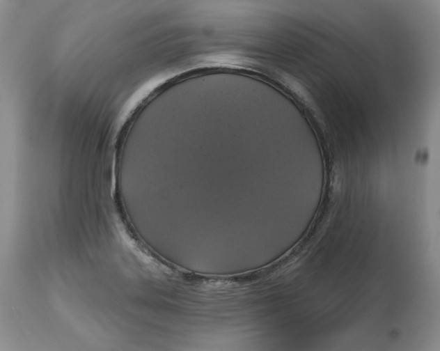 X0000112521323200909141213