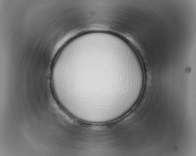 X0000112521325200909141213