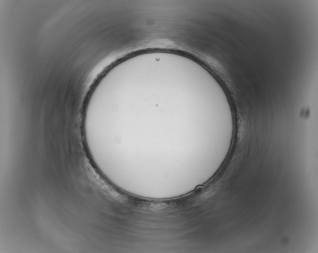 X0000112521326200909141213