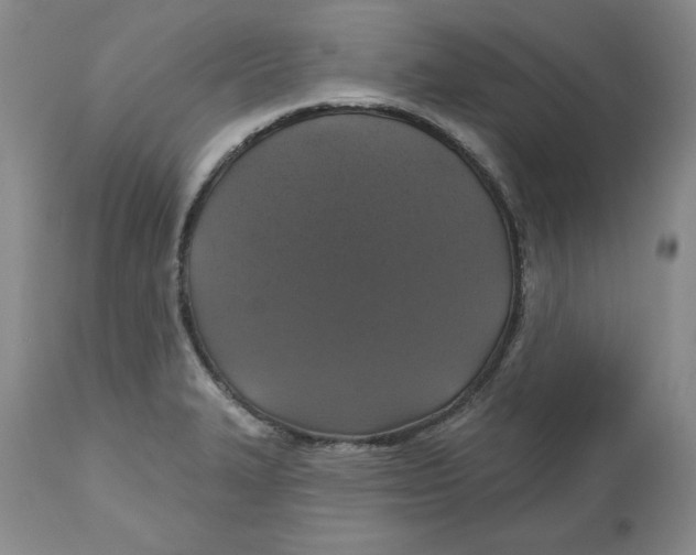 X0000112521327200909141213