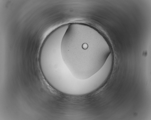 X0000112521328200909141213