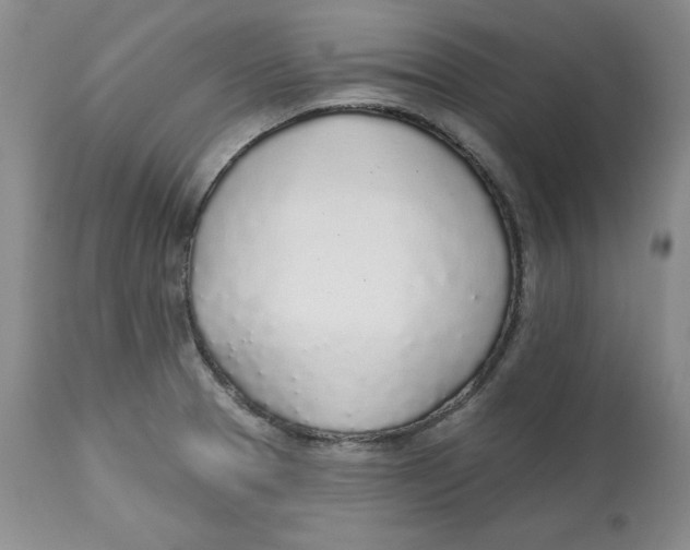 X0000112521329200909141213