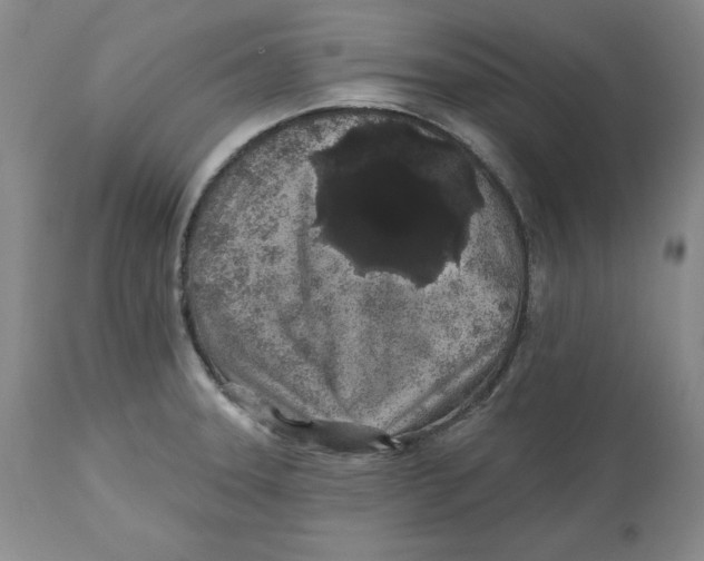 X0000112521331200909141214