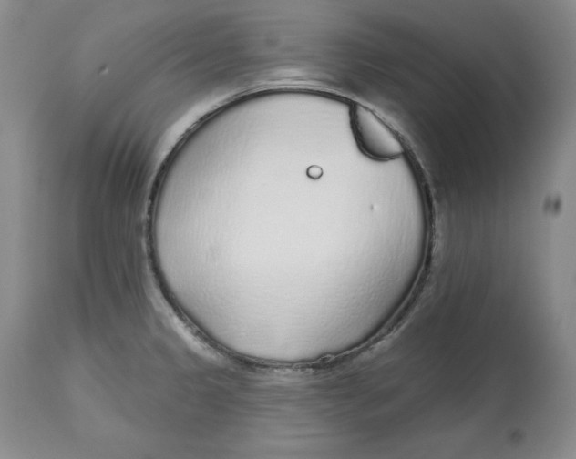X0000112521333200909141214