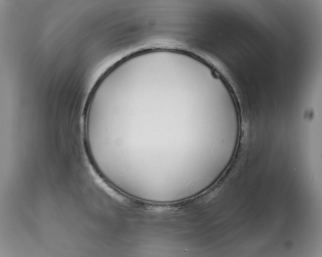 X0000112521335200909141214