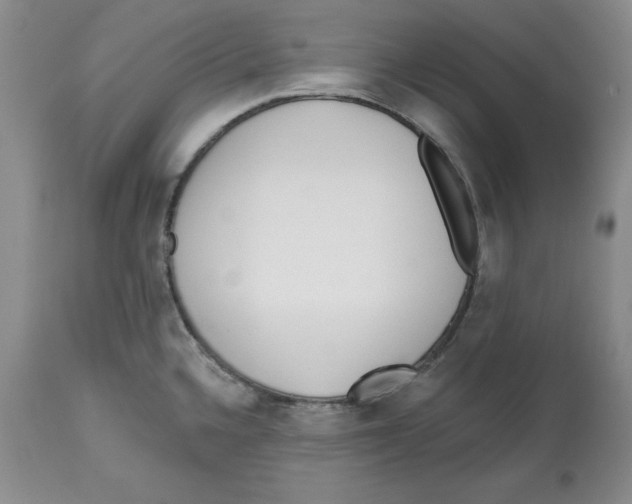 X0000112521336200909141214
