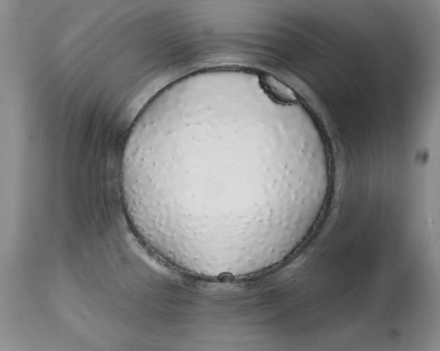 X0000112521337200909141214