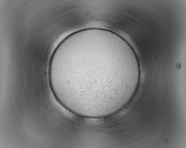 X0000112521339200909141214