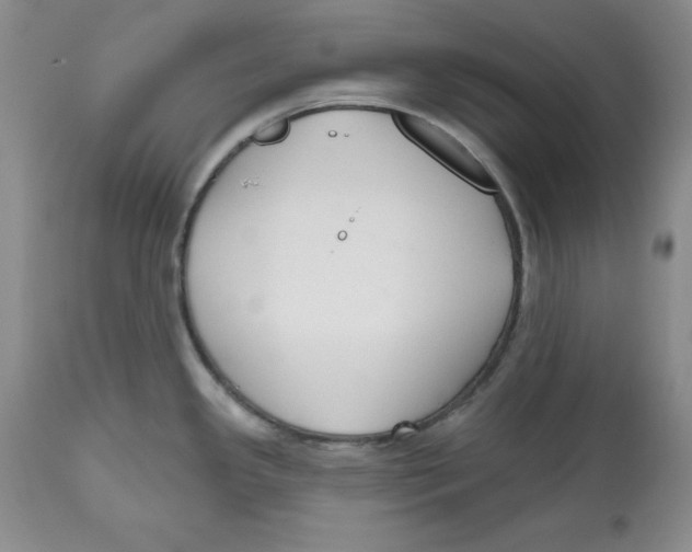 X0000112521341200909141214