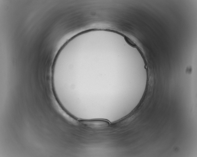 X0000112521343200909141214