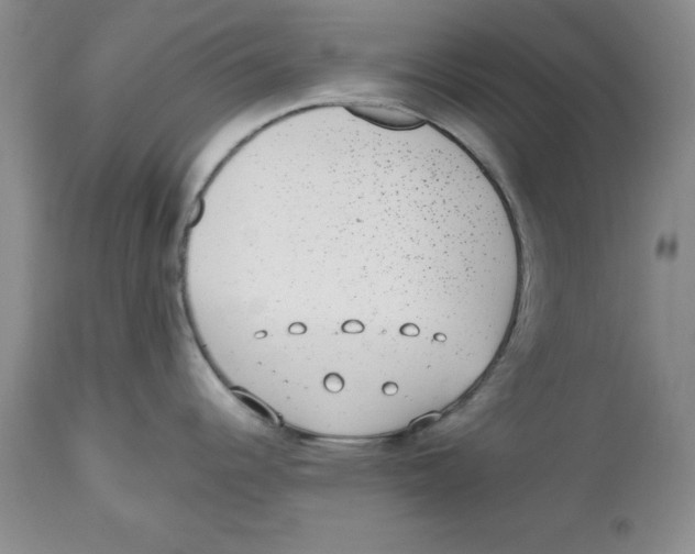 X0000112521344200909141214