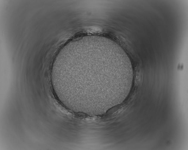 X0000112521345200909141213