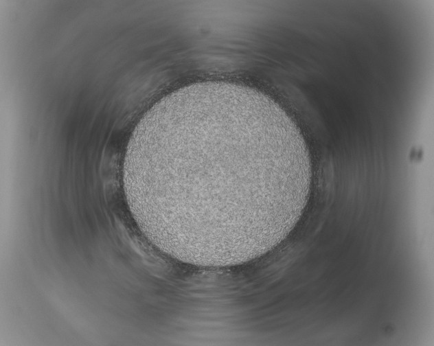 X0000112521346200909141213