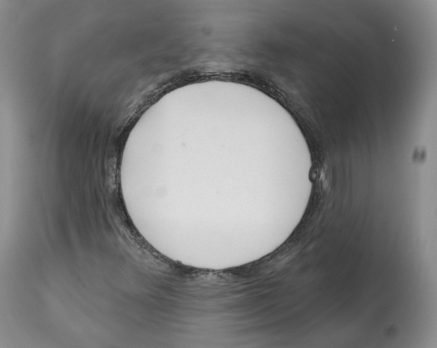 X0000112521348200909141213