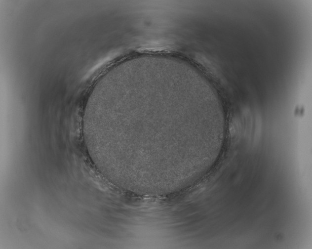 X0000112521350200909141213