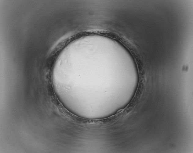 X0000112521351200909141213
