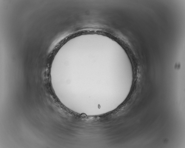 X0000112521352200909141213