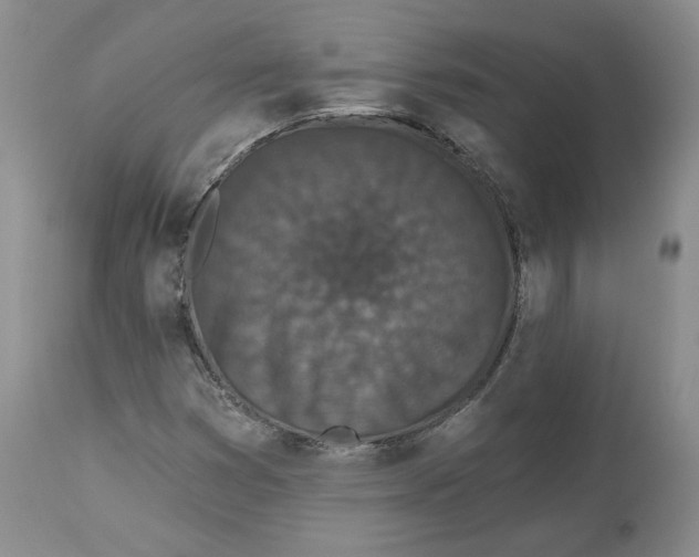 X0000112521353200909141213