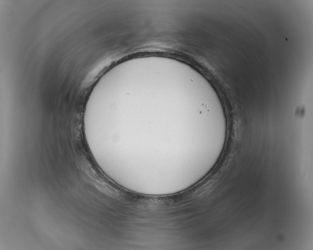 X0000112521355200909141213