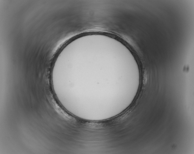 X0000112521356200909141213