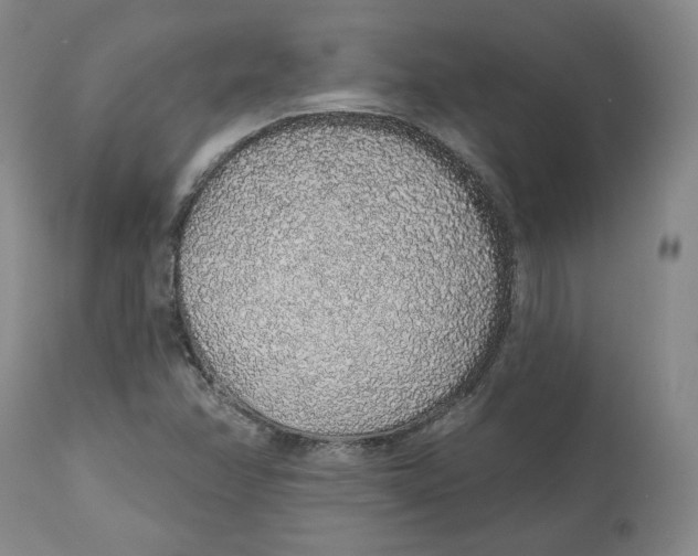 X0000112521358200909141213
