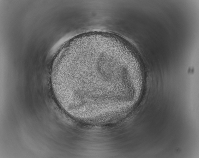 X0000112521359200909141213