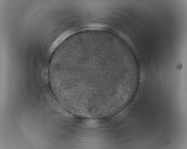 X0000112521362200909141213