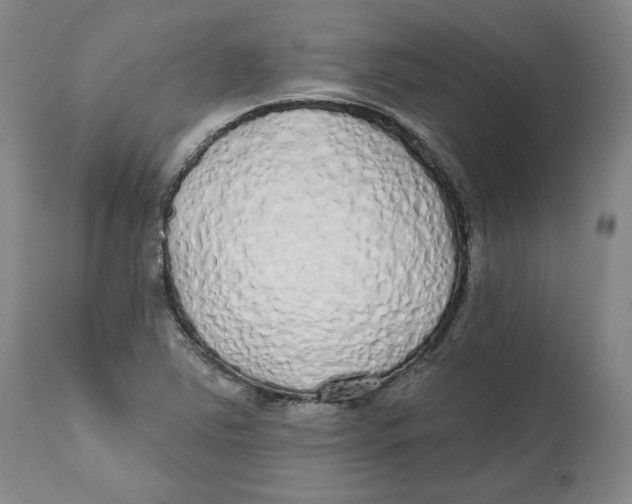 X0000112521363200909141213