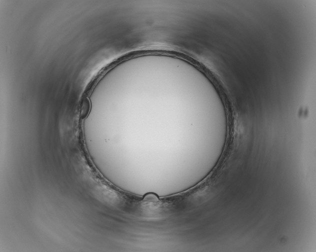 X0000112521364200909141213