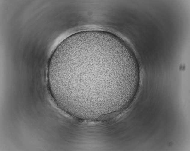 X0000112521365200909141213