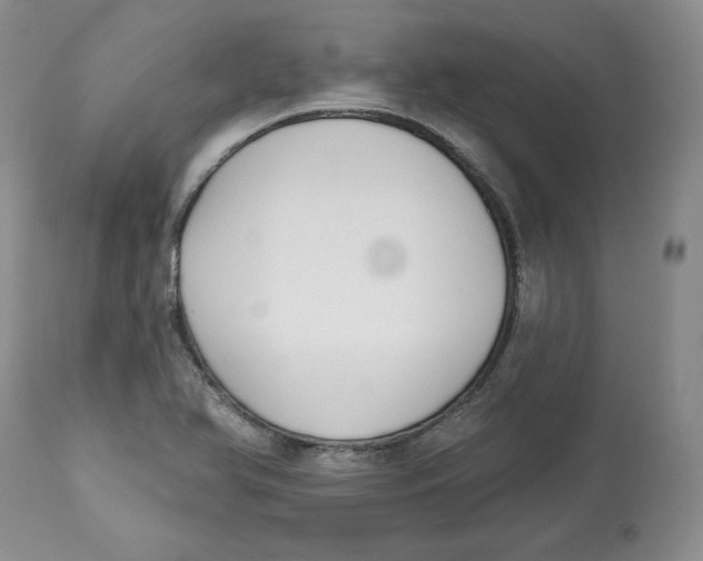 X0000112521366200909141212